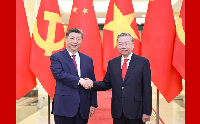 習近平同越共中央總書記蘇林舉行會談